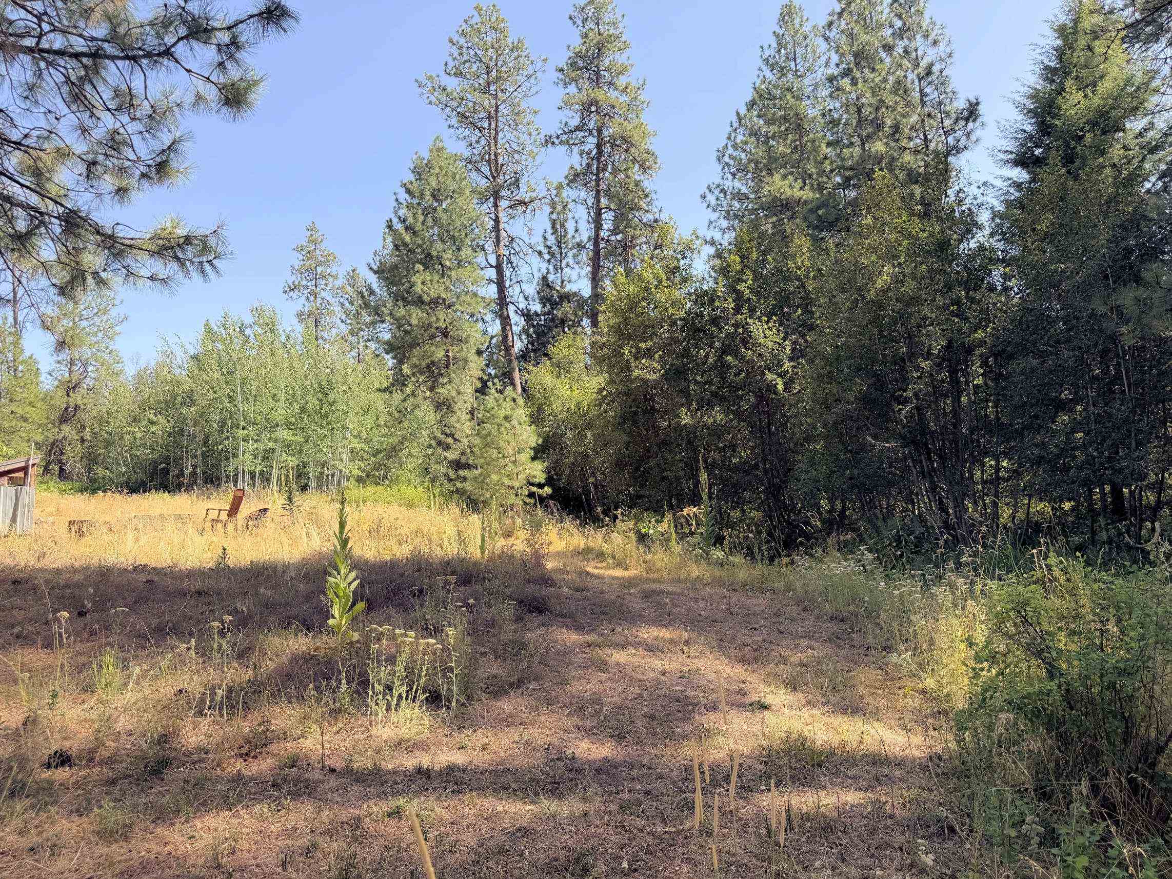 2 North Miles Creston Road North Creston, WA 99117 - Photo 12 of 35 Gallery Image 12