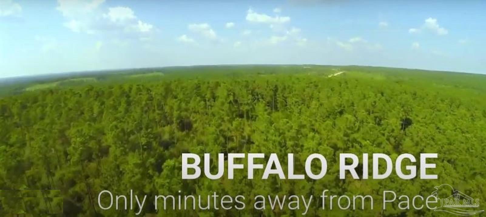 Lot 62 Buffalo Ridge Road Milton, FL 32571 - Photo 1 of 7