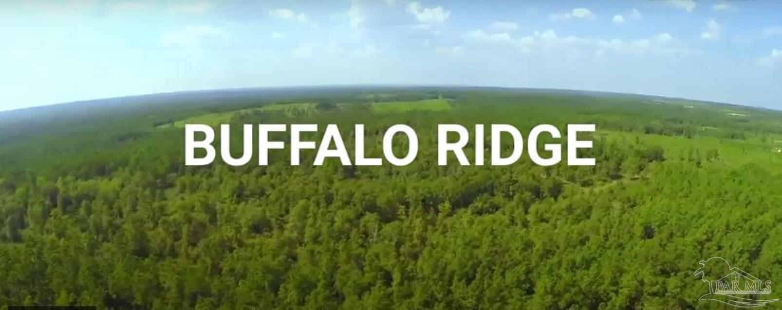 Lot 62 Buffalo Ridge Road Milton, FL 32571 - Photo 2 of 7