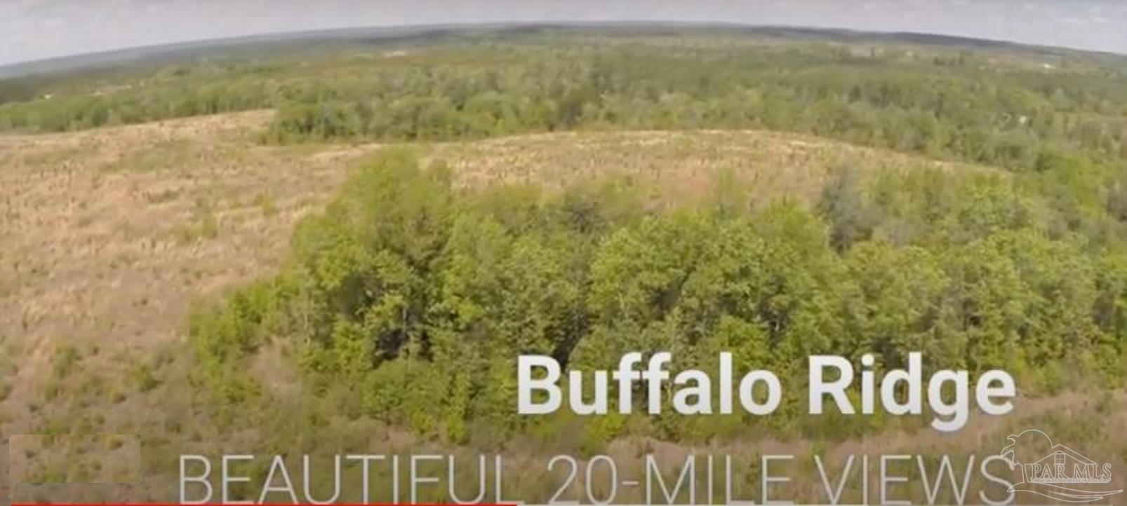 Lot 62 Buffalo Ridge Road Milton, FL 32571 - Photo 3 of 7