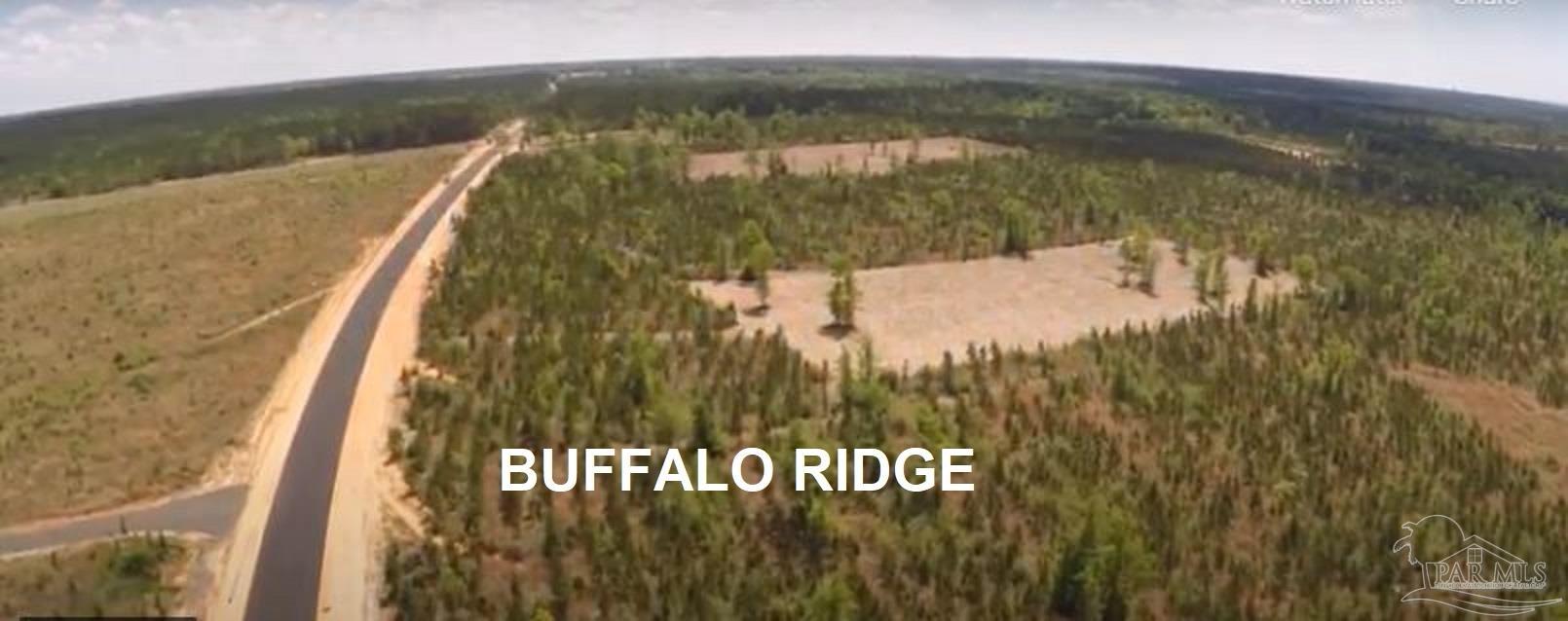 Lot 62 Buffalo Ridge Road Milton, FL 32571 - Photo 4 of 7