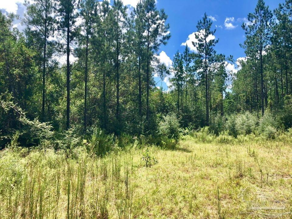 Lot 62 Buffalo Ridge Road Milton, FL 32571 - Photo 7 of 7