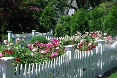 270 Stage Harbor Road Chatham, MA 02633 - Photo 2 of 21 a flower garden view