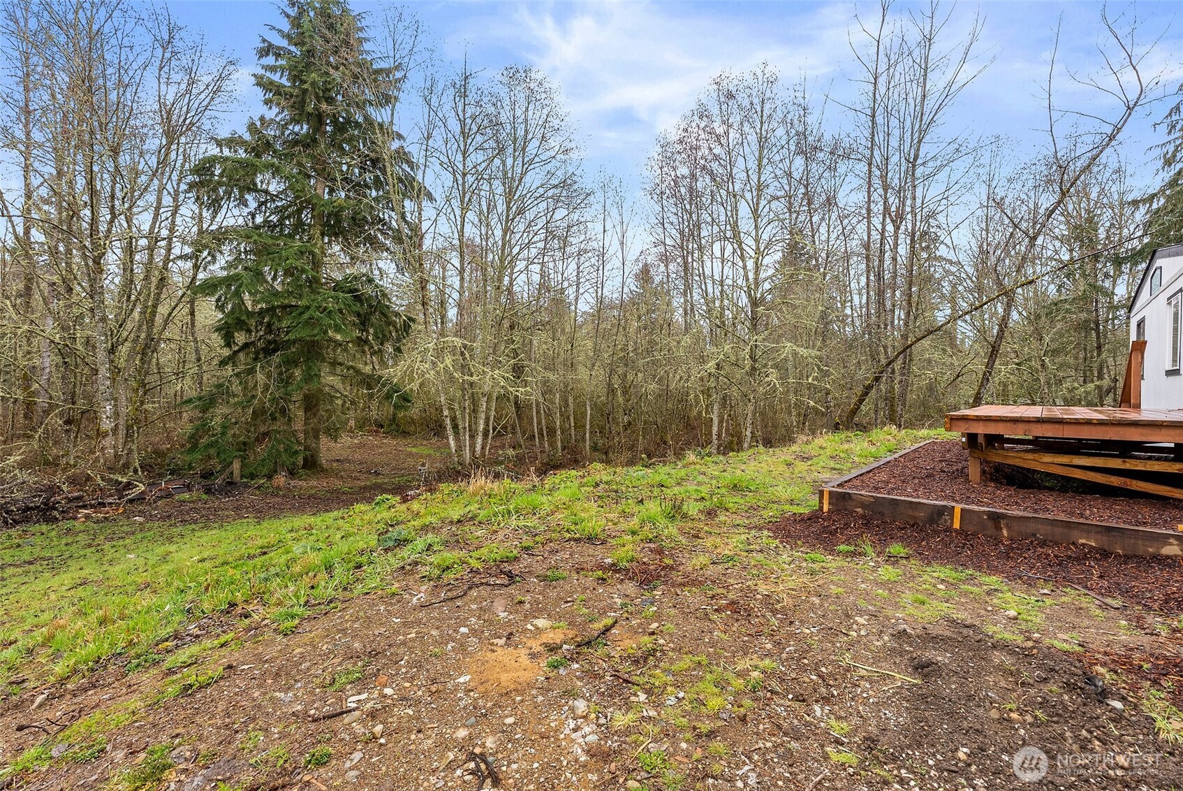 14512 246th Street East Graham, WA 98338 - Photo 12 of 17 a backyard of a house with trees and outdoor space