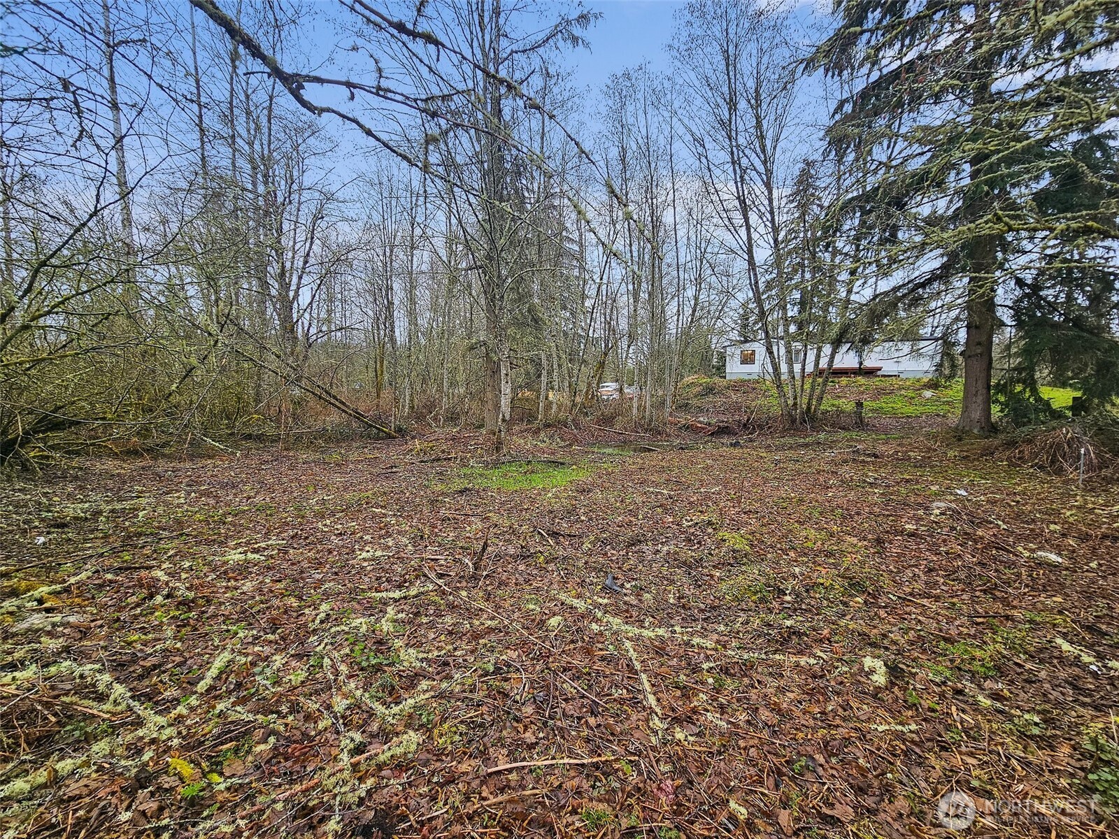 14512 246th Street East Graham, WA 98338 - Photo 13 of 17 a backyard of a house with lots of green space