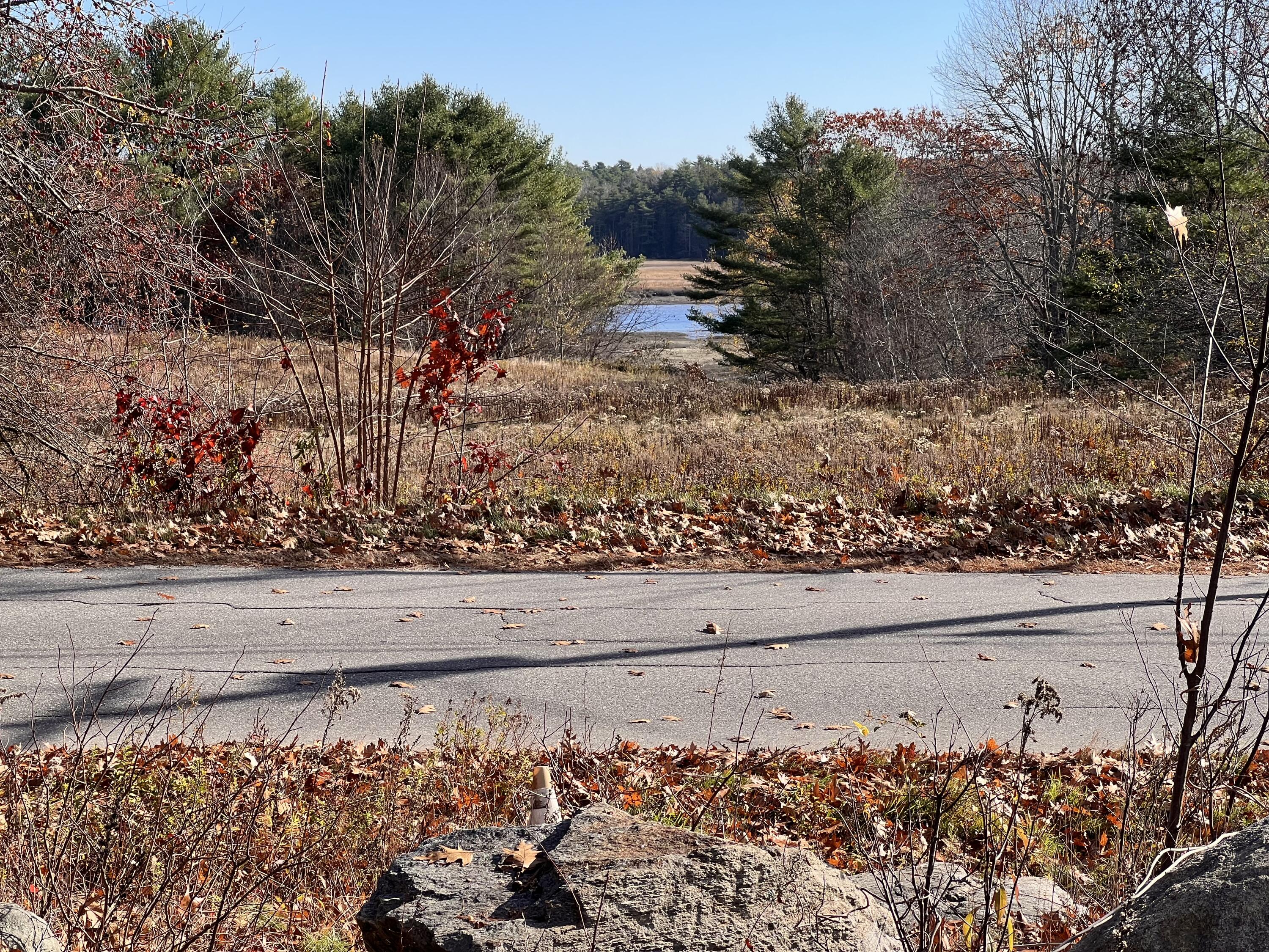 384 Montsweag Road Woolwich, ME 04579 - Photo 7 of 9 Looking out from the parcel