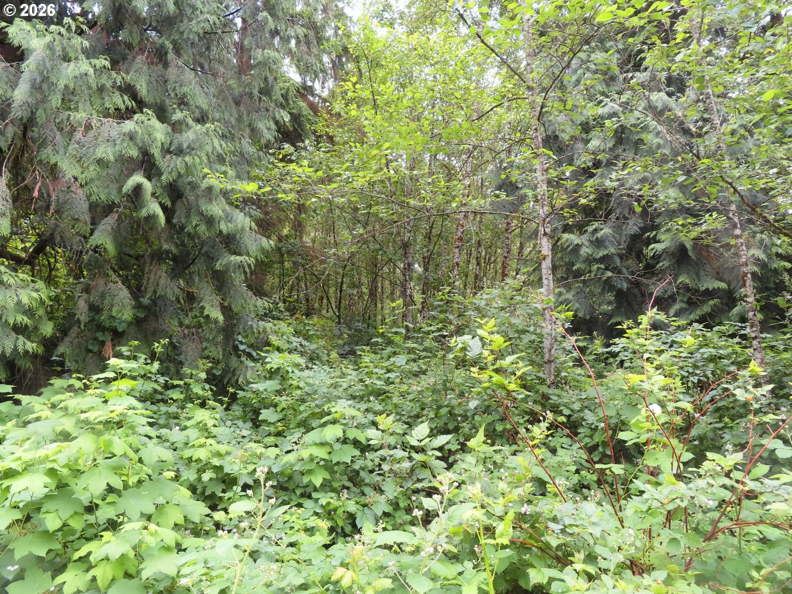 Sylvan Way Longview, WA 98632 - Photo 14 of 17