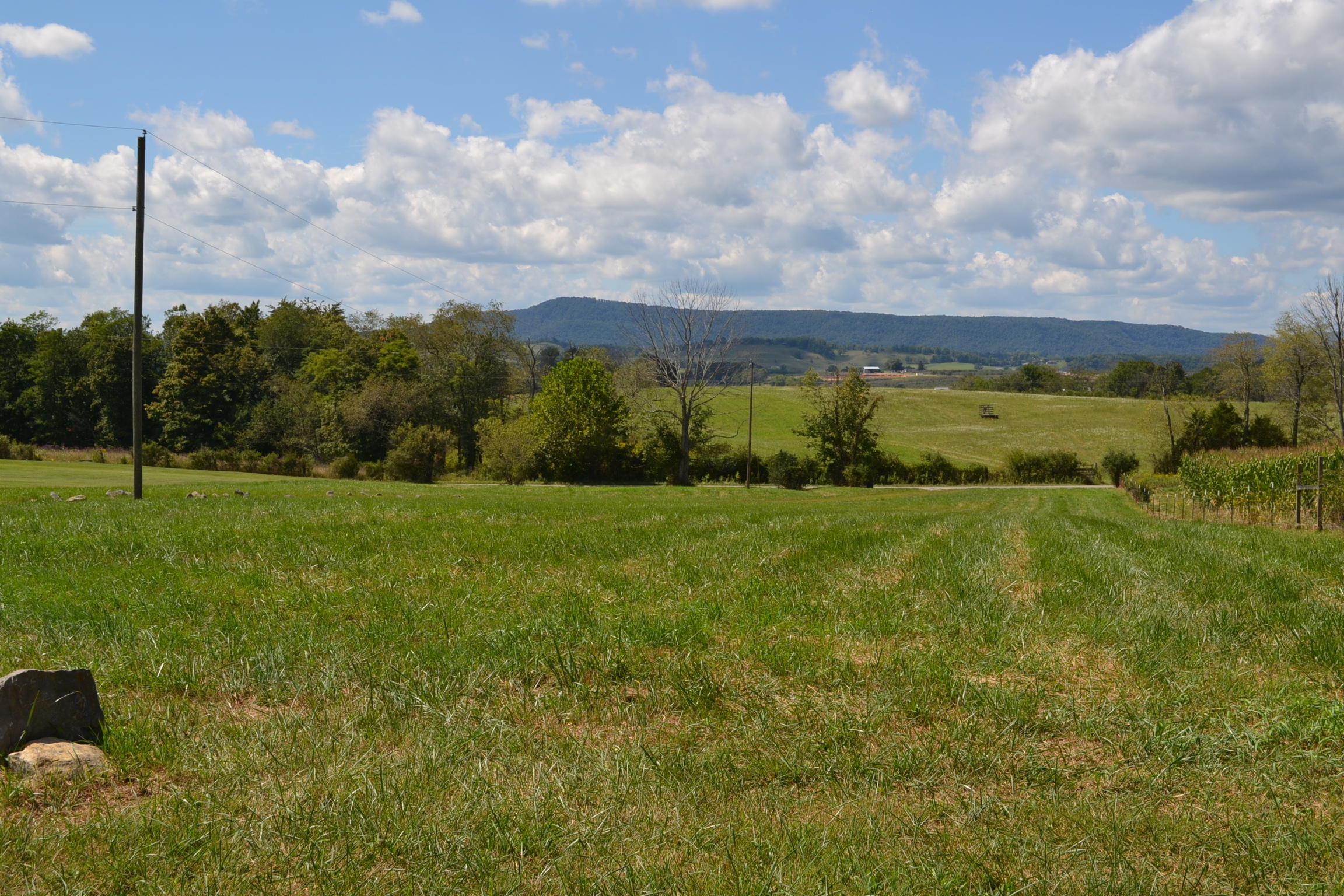 1310 Moore Road Sinks Grove, WV 24976 - Photo 15 of 59 Gallery Image 15