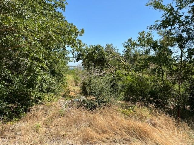 952 Lake Road Gordonville, TX 76245 - Photo 19 of 19