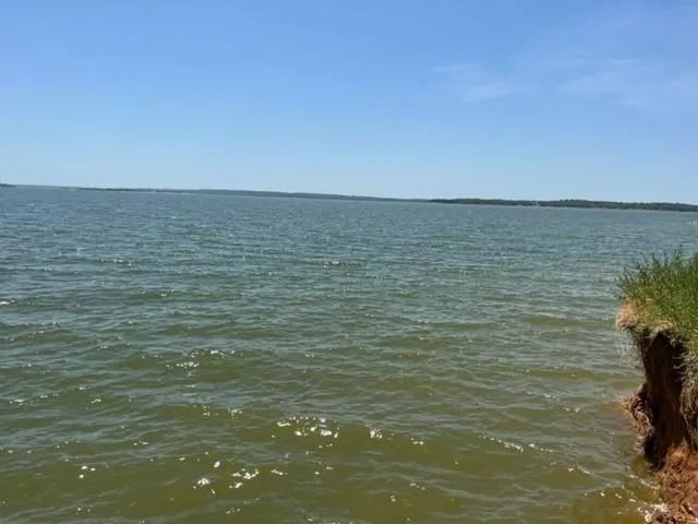 a view of an ocean and beach