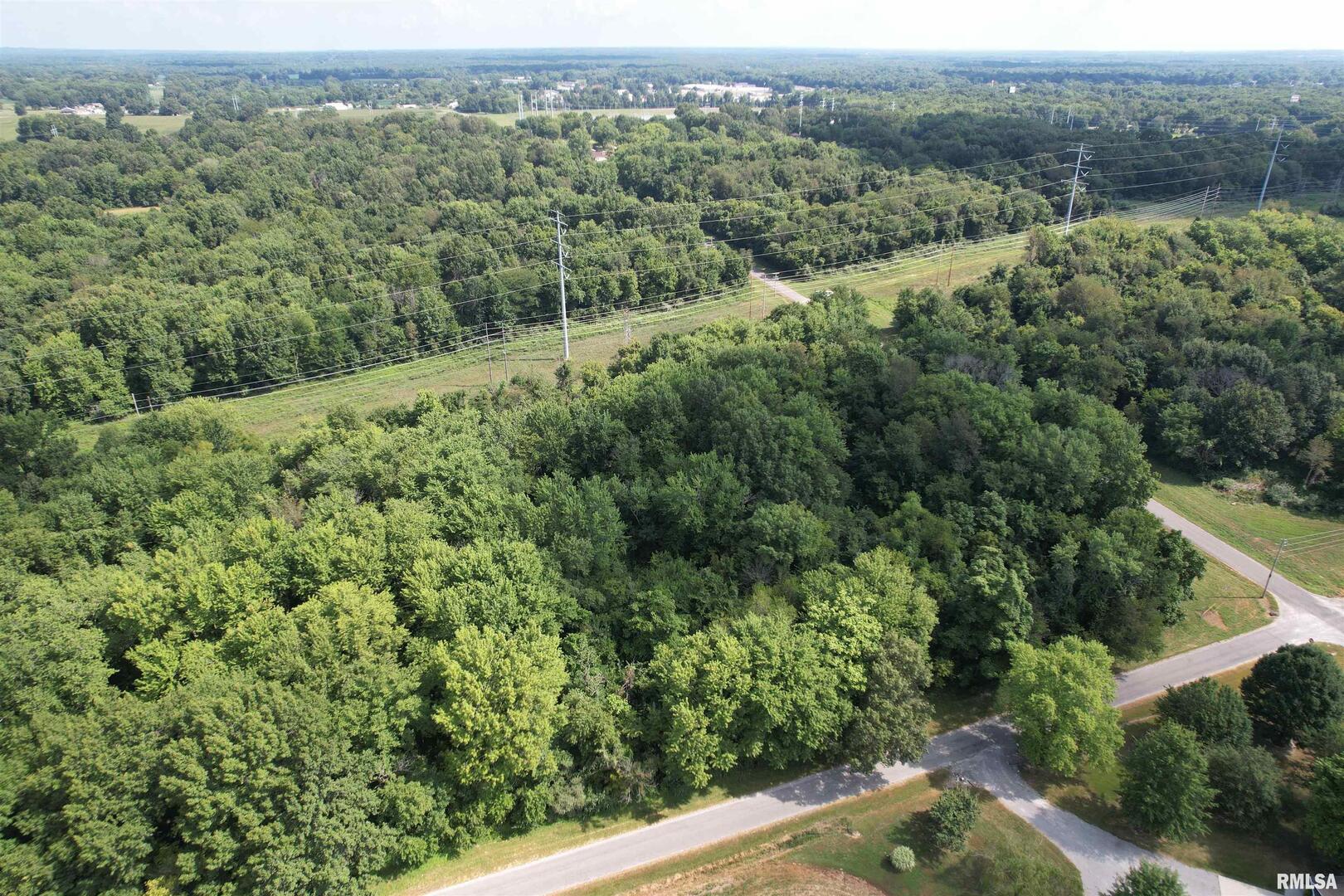 0 Winery Road West Frankfort, IL 62896 - Photo 13 of 25