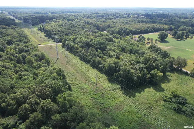 an aerial view of green landscape with trees houses and mountain view