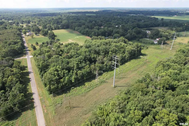 a view of a field with a tree in the background