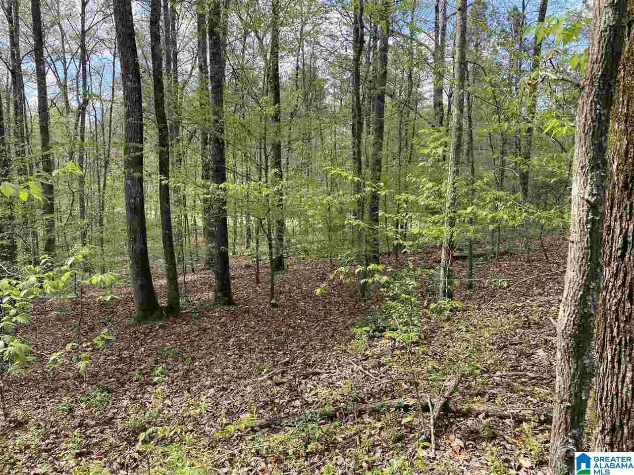 1721 Westover Road, Unit 1 Sterrett, AL 35147 - Photo 4 of 9