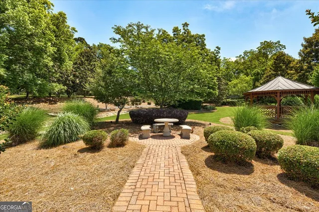 a view of a yard with plants and trees