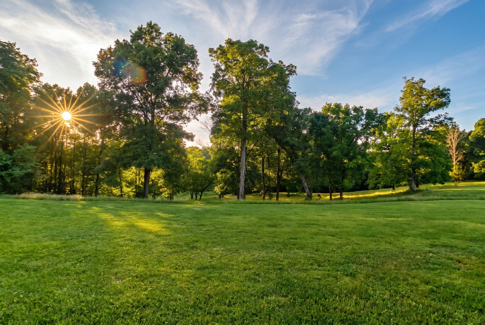 2909 B Beech Log Road Watertown, TN 37184 - Photo 61 of 67 a big yard with lots of green space and trees all around