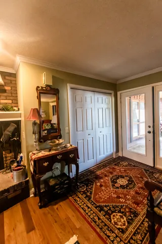 a view of a trees in a yard