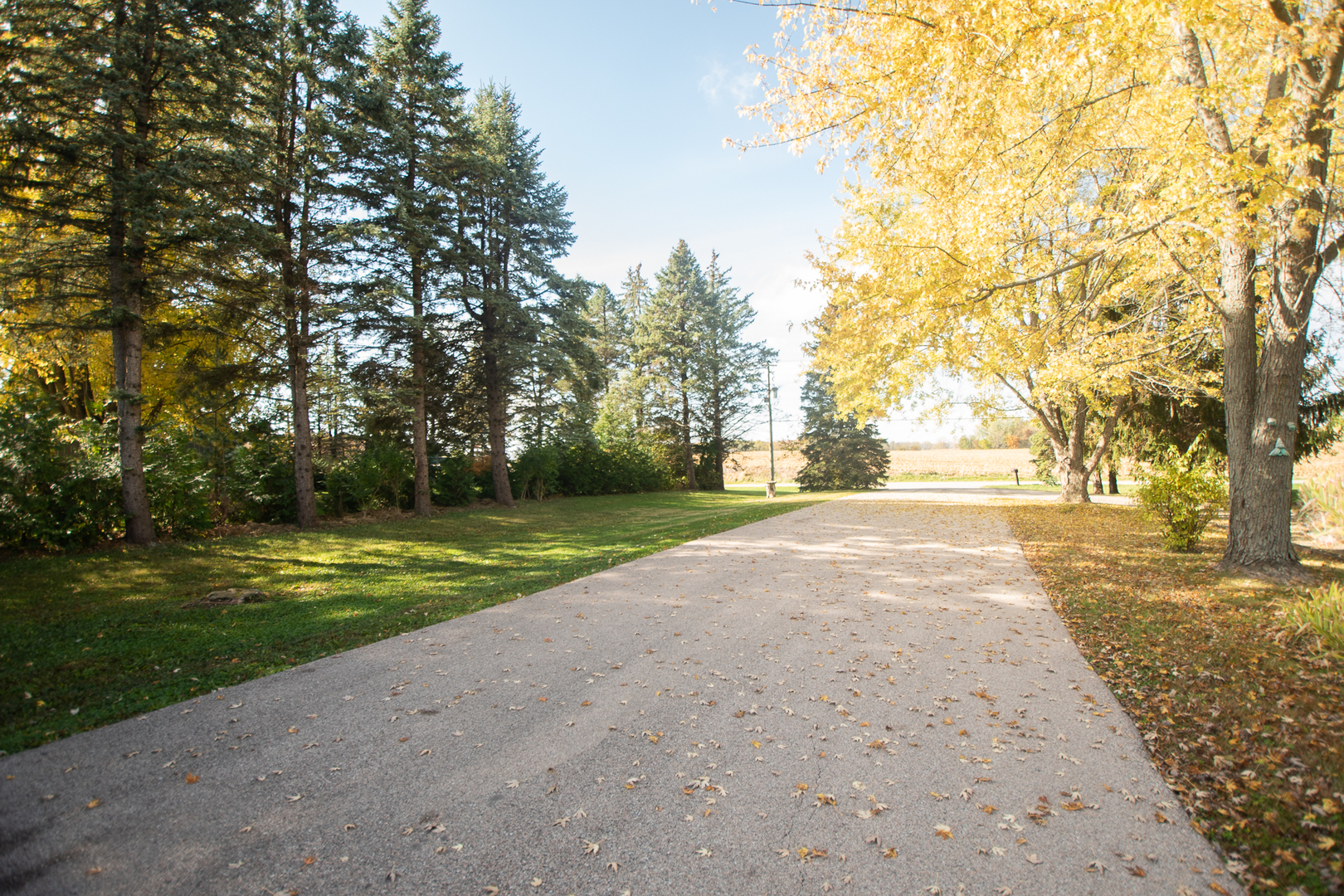 1764 Wolverine Road Dixon, IL 61021 - Photo 48 of 86