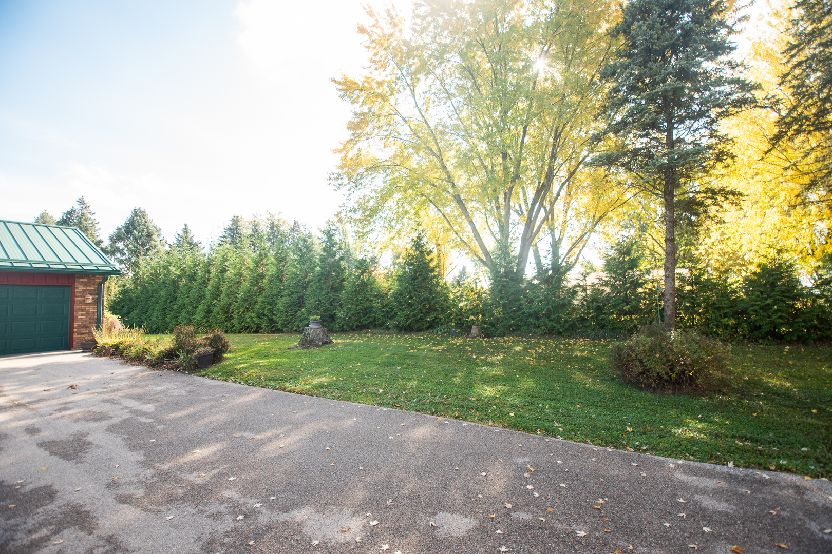 1764 Wolverine Road Dixon, IL 61021 - Photo 51 of 86 a view of a house with backyard and trees