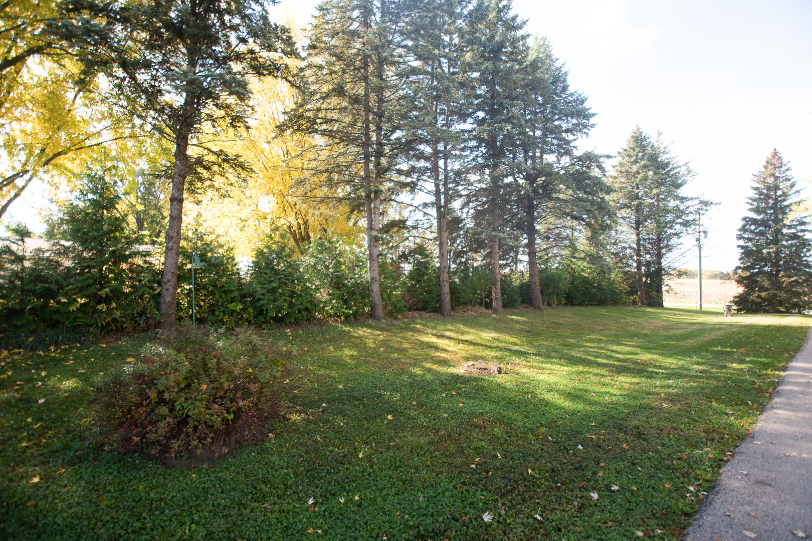 1764 Wolverine Road Dixon, IL 61021 - Photo 63 of 86 a view of a trees in a yard