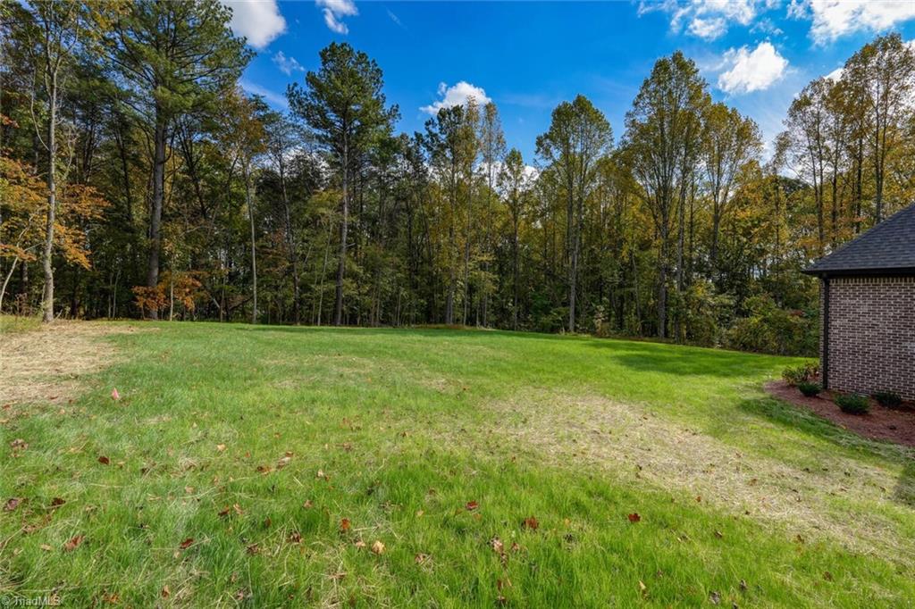 8103 Falcon Trail Oak Ridge, NC 27310 - Photo 42 of 47