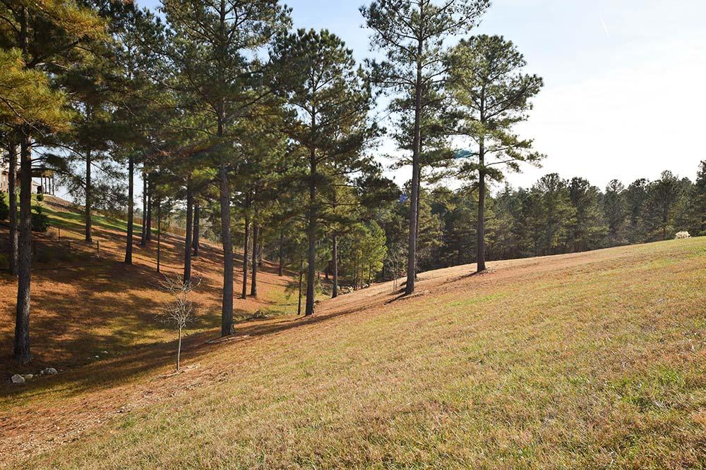161 Nesting Ridge Road Cleveland, TN 37312 - Photo 41 of 42 161_NestingRidge_41