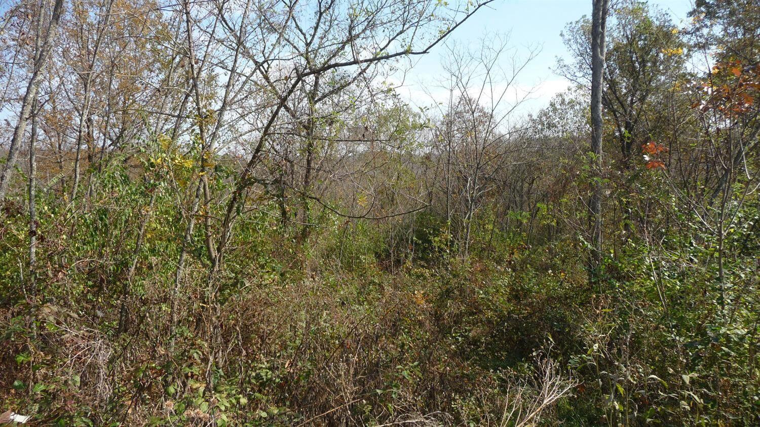 51-acres Agee Road Owenton, KY 40359 - Photo 5 of 7 Gallery Image 5