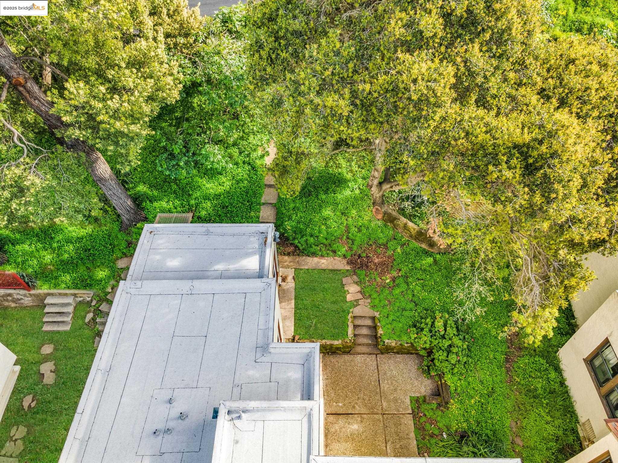 2340 Virginia Street Berkeley, CA 94709 - Photo 53 of 56 a view of a yard with plants and large trees