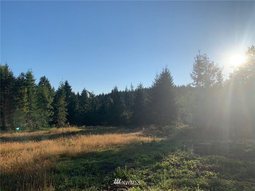 1430 Brown Road West Chehalis, WA 98532 - Photo 3 of 30