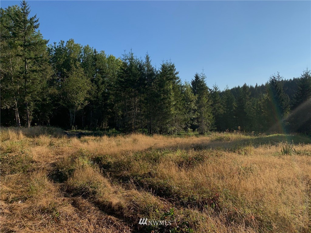 1430 Brown Road West Chehalis, WA 98532 - Photo 22 of 30