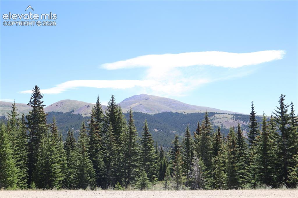 1480 Roberts Road Alma, CO 80420 - Photo 14 of 26