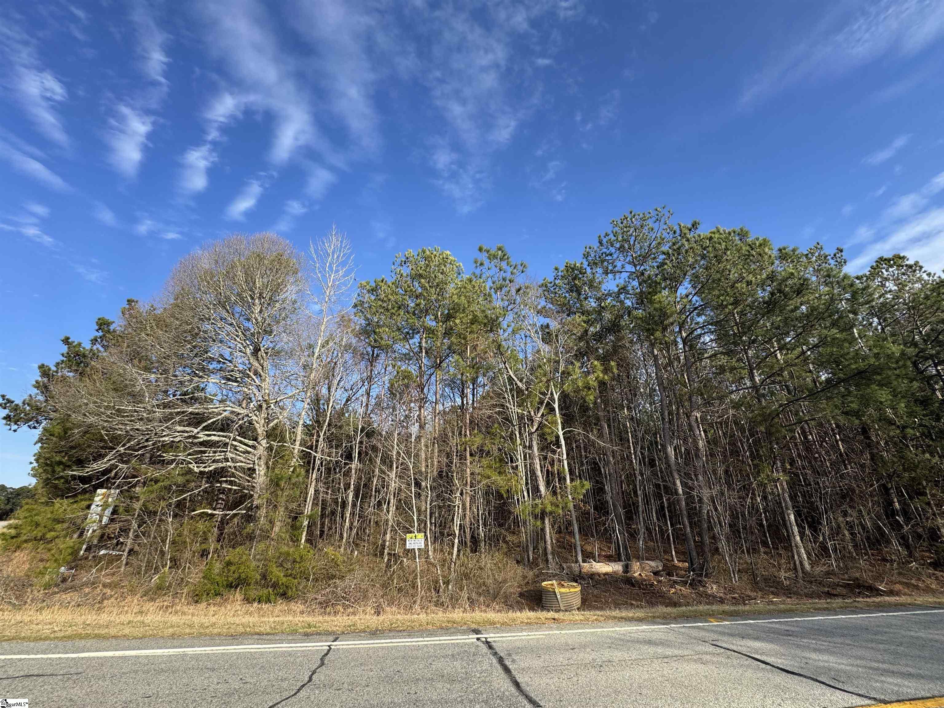 0 Whitmire Highway Clinton, SC 29325 - Photo 1 of 22