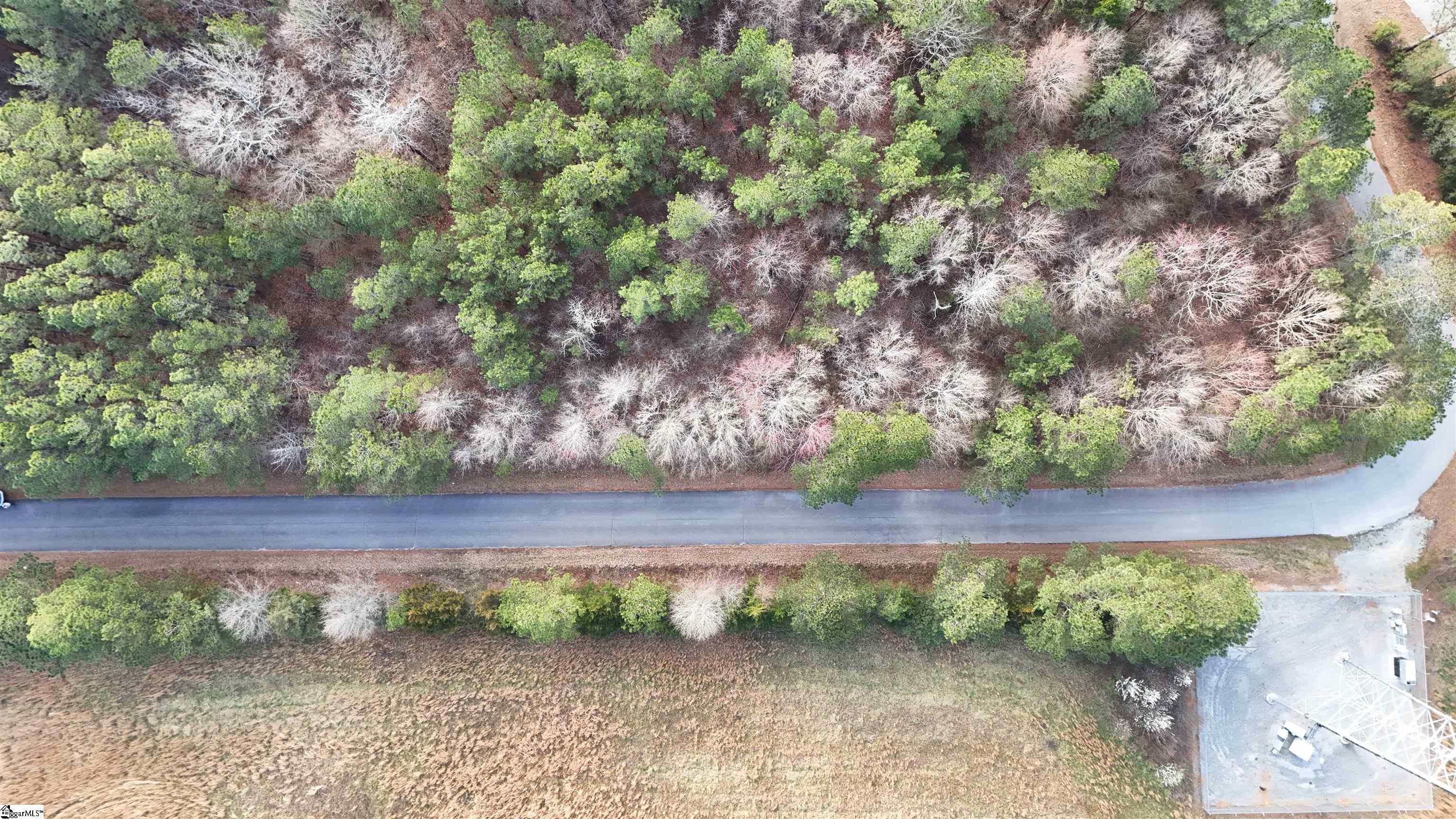 0 Whitmire Highway Clinton, SC 29325 - Photo 17 of 22