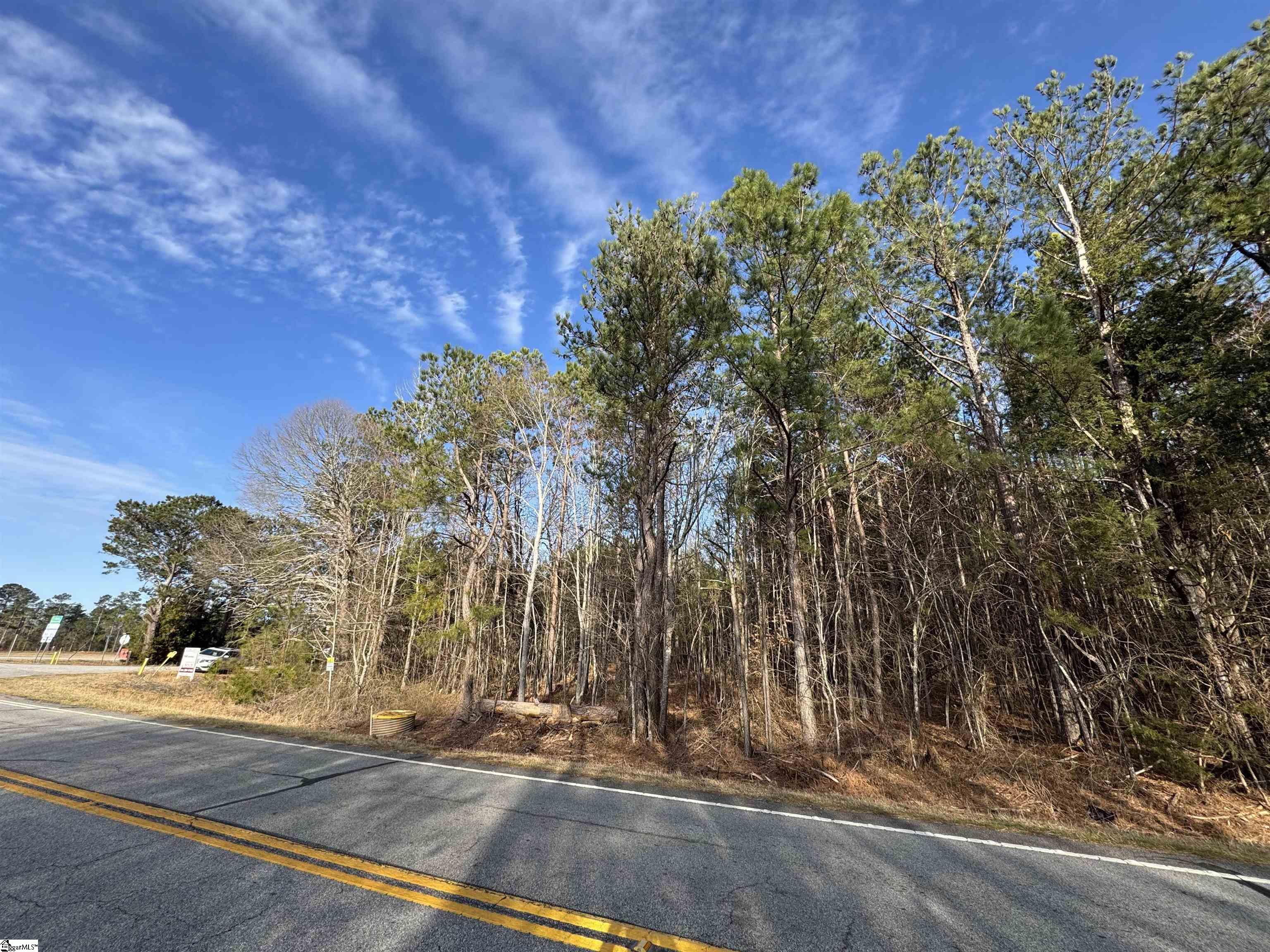 0 Whitmire Highway Clinton, SC 29325 - Photo 3 of 22