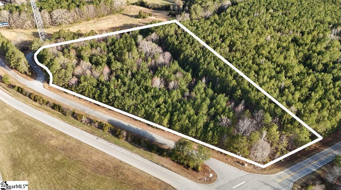 0 Whitmire Highway Clinton, SC 29325 - Photo 4 of 22