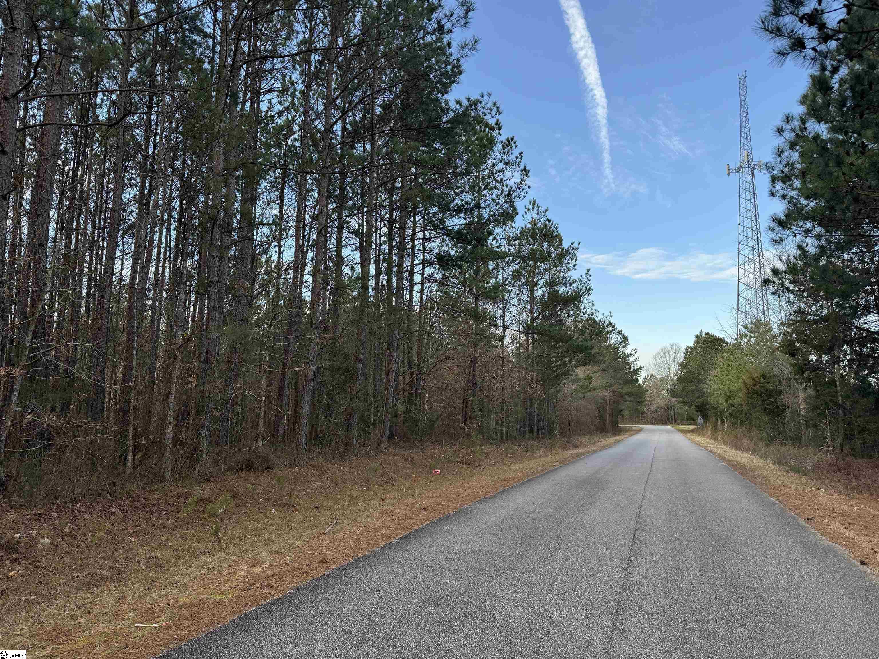 0 Whitmire Highway Clinton, SC 29325 - Photo 9 of 22