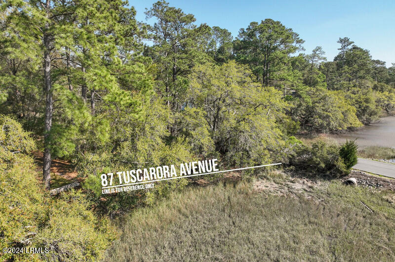 87 Tuscarora Avenue Beaufort, SC 29907 - Photo 11 of 19 View from the Marsh