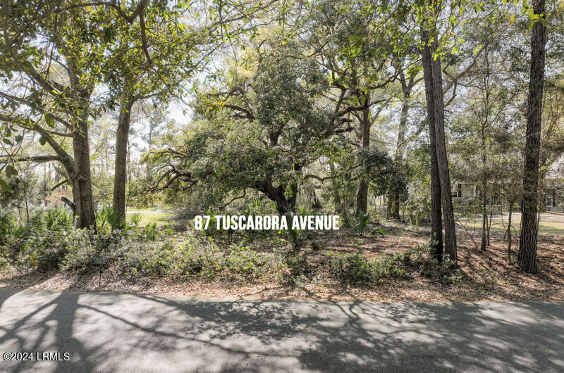 87 Tuscarora Avenue Beaufort, SC 29907 - Photo 4 of 19 Front View