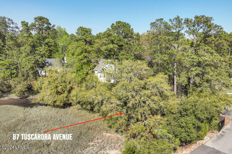 87 Tuscarora Avenue Beaufort, SC 29907 - Photo 5 of 19 Lot from Marsh Side