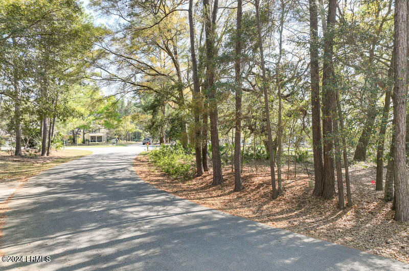 87 Tuscarora Avenue Beaufort, SC 29907 - Photo 9 of 19 Beautiful Street View