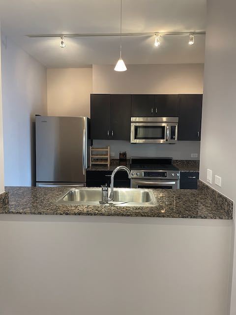 8 East Randolph Street, Unit 2307 Chicago, IL 60601 - Photo 7 of 26