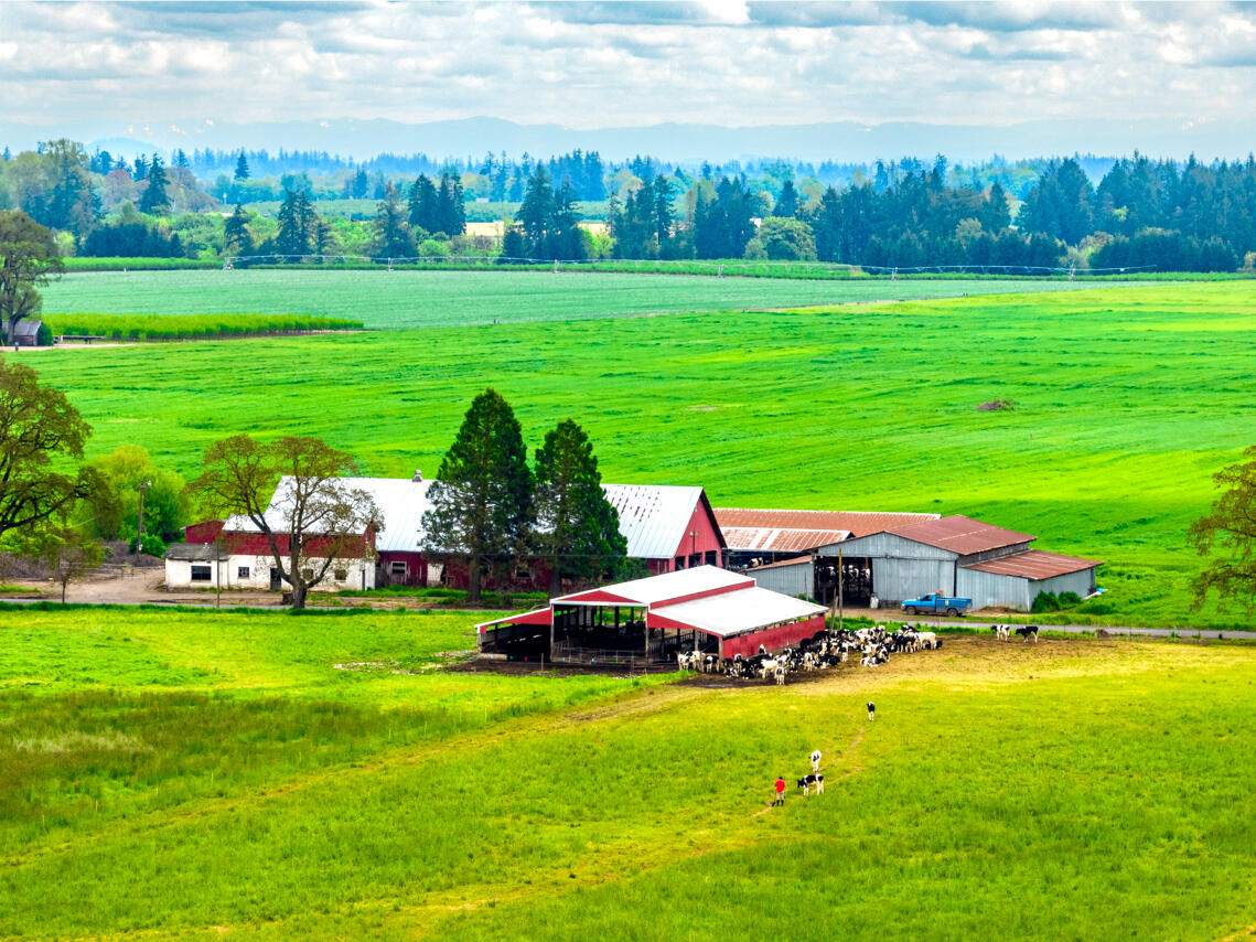10101 Southeast Webfoot Road Dayton, OR 97114 - Photo 11 of 32 10101 SE Webfoot Rd Drone MLS 4