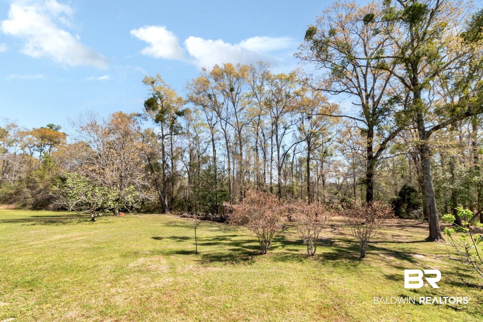 6090 Celeste Road Saraland, AL 36571 - Photo 33 of 38 View of yard