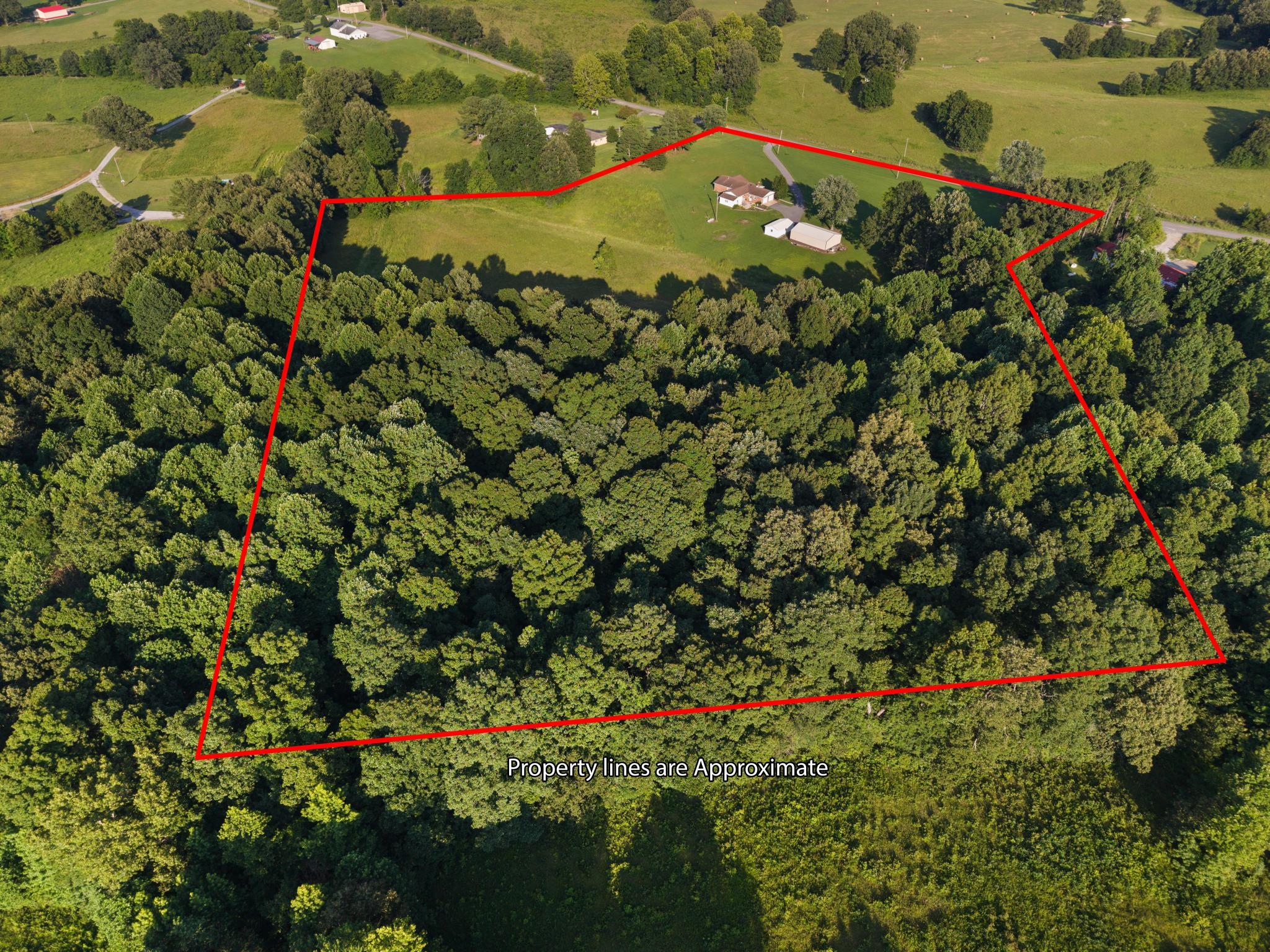 1338 Tiline Road Tiline, KY 42083 - Photo 33 of 34 DJI_20260713181822_0012_D