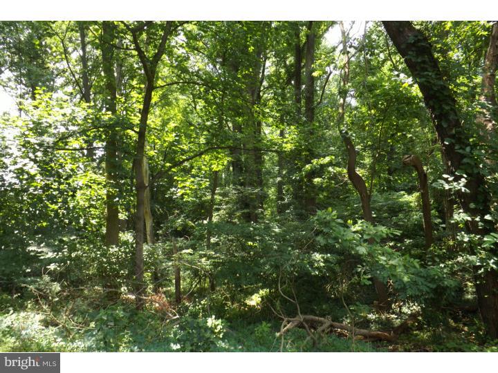 174 Emley's Hill Road Cream Ridge, NJ 08514 - Photo 18 of 23