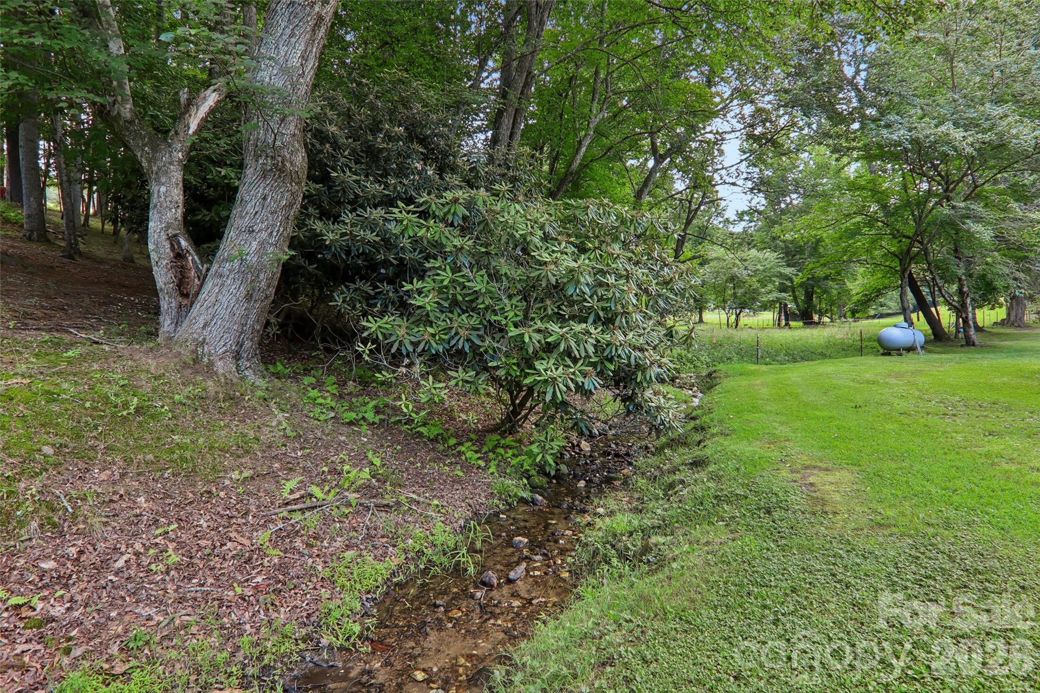 611 Reeves Cove Road Candler, NC 28715 - Photo 43 of 44
