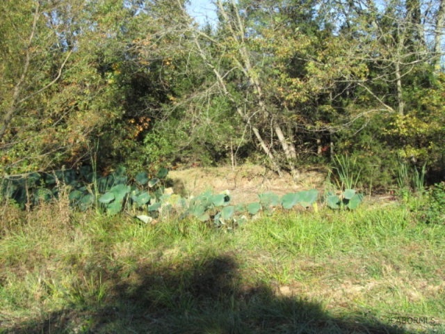 Tbd Tbd Lost Horizons Road Tebbetts, MO 65080 - Photo 4 of 7