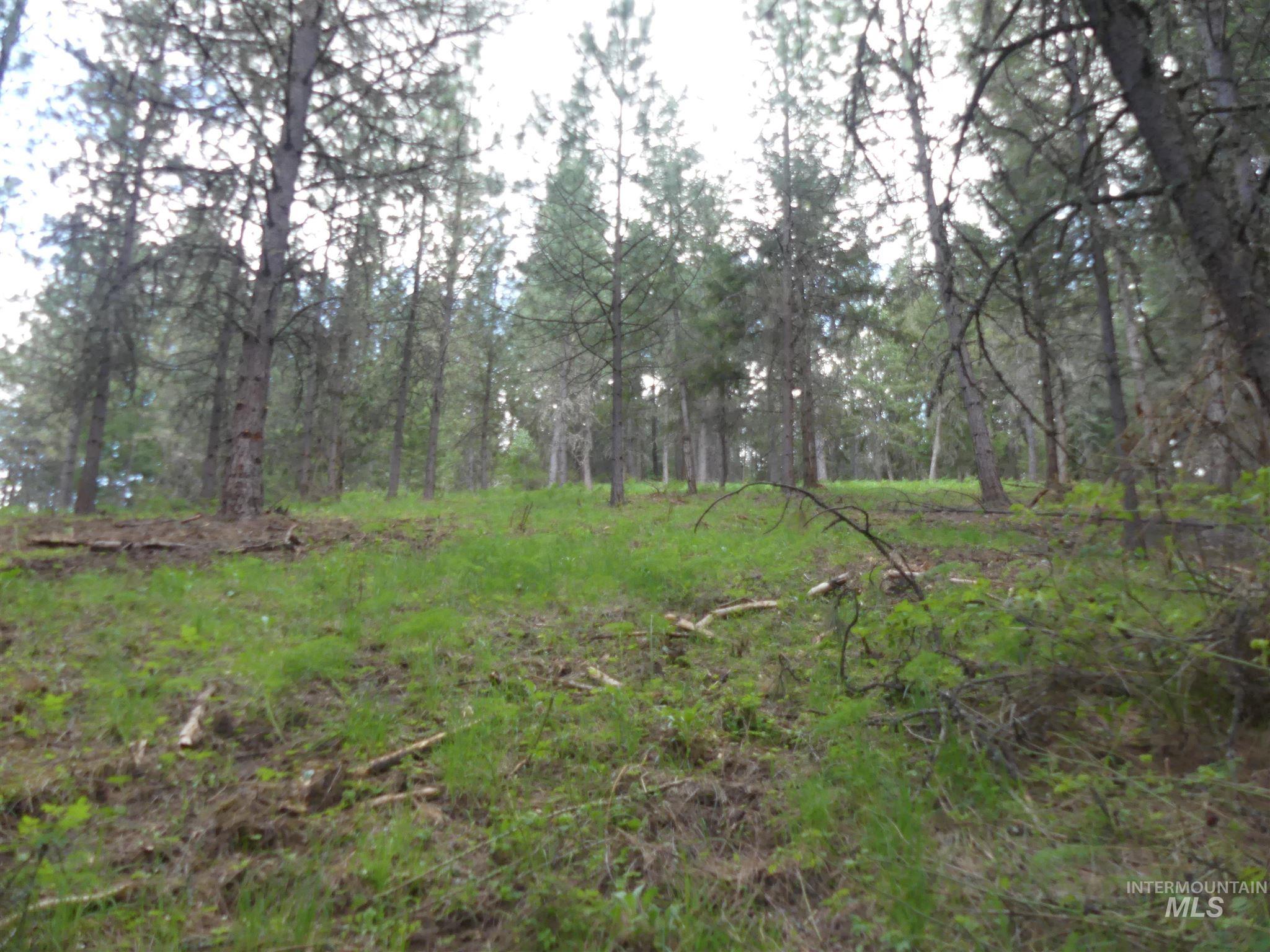 22743 Old Melrose Grade Road Peck, ID 83545 - Photo 13 of 45