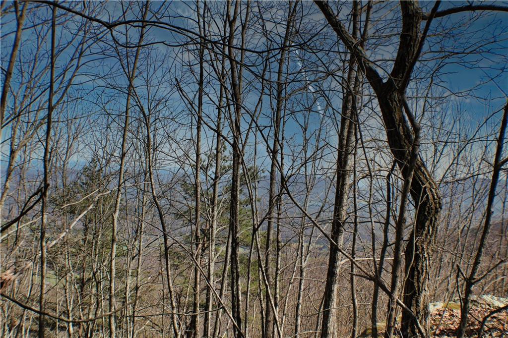 0 157th Highway Rising Fawn, GA 30738 - Photo 4 of 19