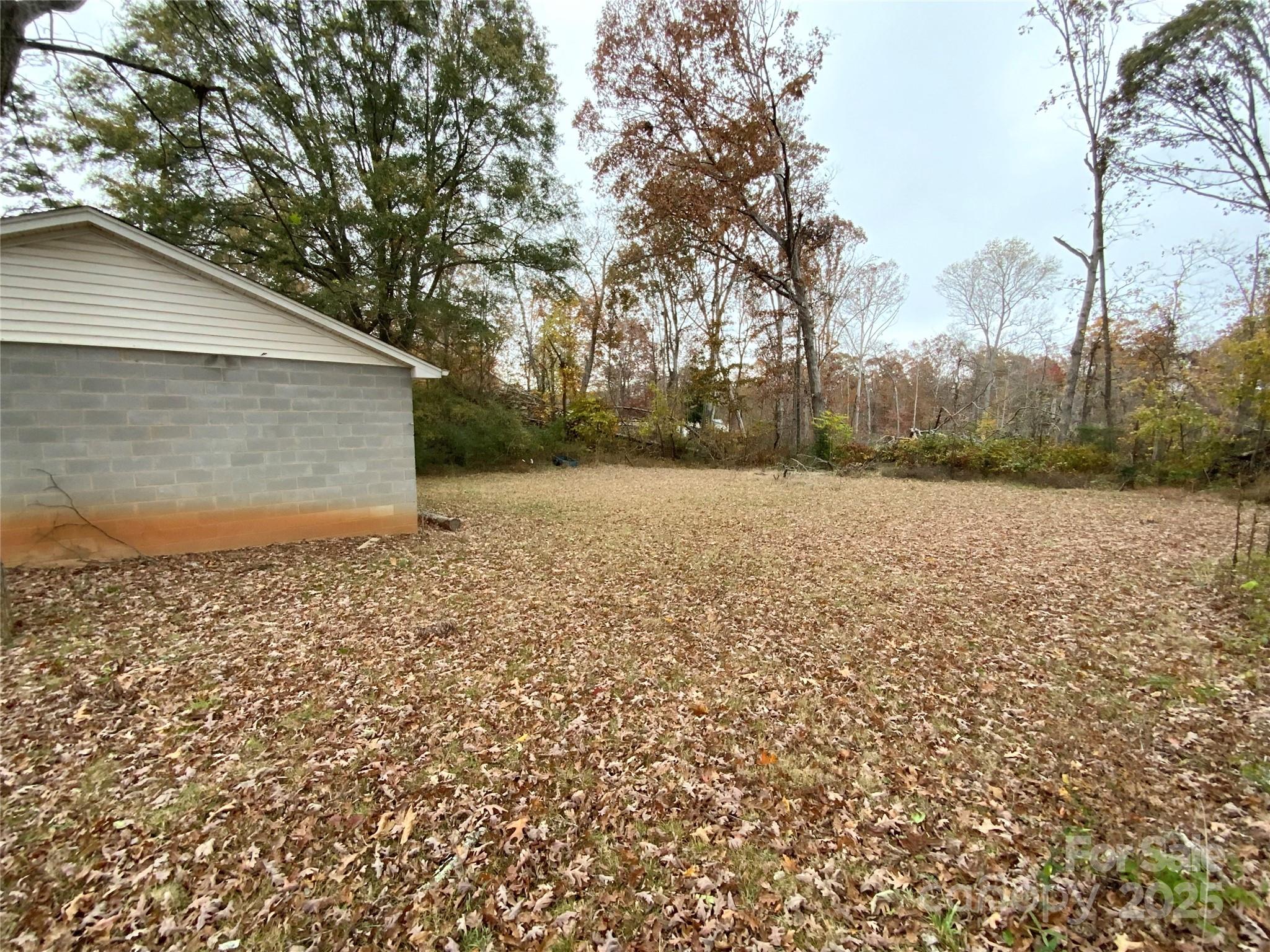 167 East High Road Bostic, NC 28018 - Photo 22 of 28 a backyard of a house with lots of green space